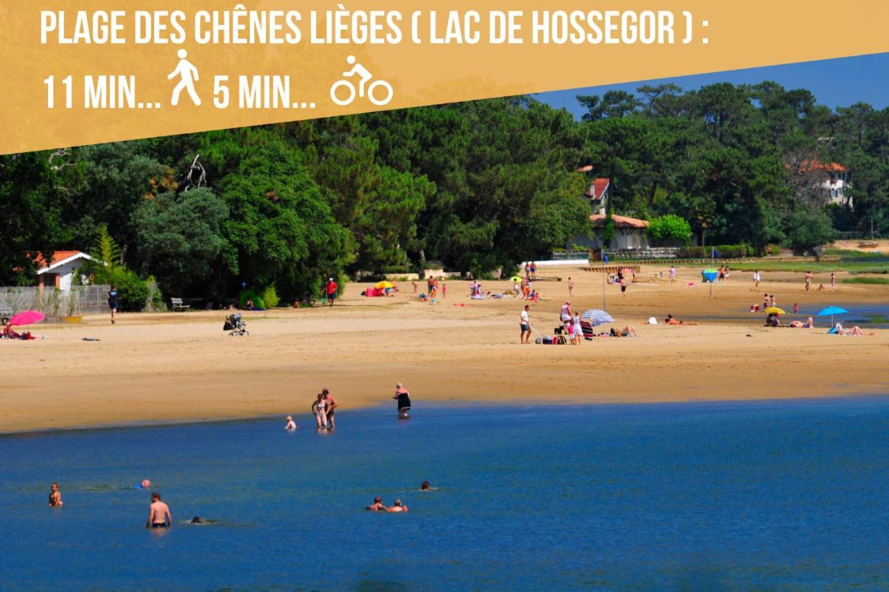 * Hossegor * Plage 100M * Vue Sur Les Pins *Surf Сорт-Осгор Экстерьер фото